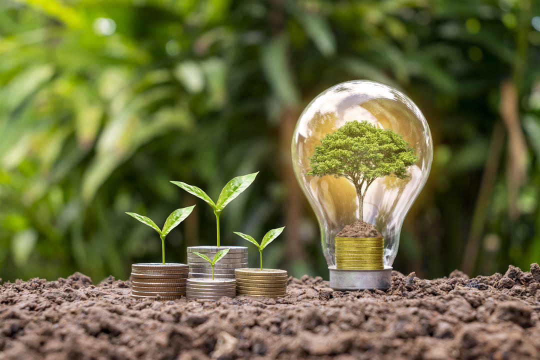 Uma imagem representando o conceito de economia sustentável. Ela mostra pequenas pilhas de moedas no solo, com brotos verdes crescendo de cada uma delas. Ao lado, há uma lâmpada de vidro contendo um monte de moedas na base e um pequeno arbusto crescendo dentro dela, simbolizando inovação e sustentabilidade. O fundo é desfocado com tons de verde, remetendo à natureza.