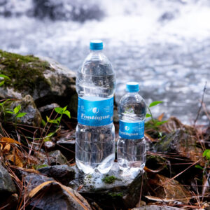 Água natural e o sistema imunológico: como a hidratação fortalece suas defesas naturais
